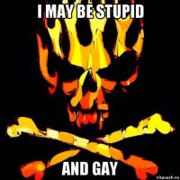 i may be stupid and gay