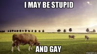 i may be stupid and gay