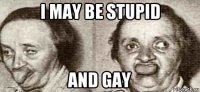 i may be stupid and gay