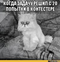 когда задачу решил с 20 попытки в контестере 