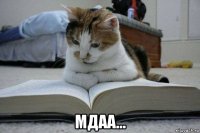  мдаа...