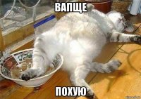 вапще похую