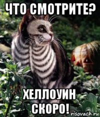 что смотрите? хеллоуин скоро!