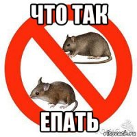 что так епать