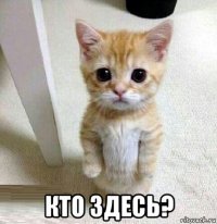  кто здесь?