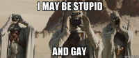 i may be stupid and gay