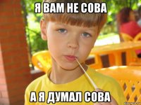 я вам не сова а я думал сова