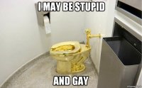 i may be stupid and gay