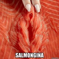  salmongina