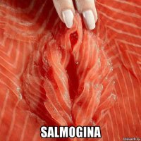  salmogina
