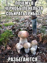 -почему в чернобыле нельзя собирать грибы? -разбегаются...