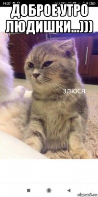 доброе утро людишки...))) 