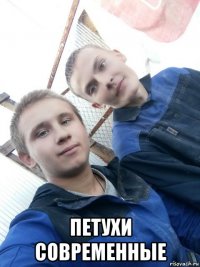  петухи современные