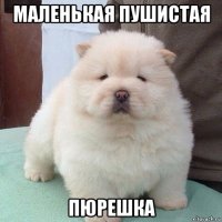 маленькая пушистая пюрешка