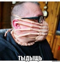  тыдыщь