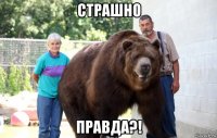 страшно правда?!