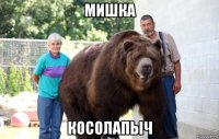 мишка косолапыч