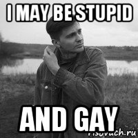 i may be stupid and gay