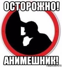 осторожно! анимешник!