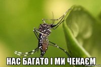  нас багато і ми чекаєм