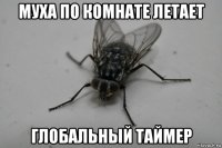 муха по комнате летает глобальный таймер