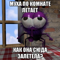 муха по комнате летает как она сюда залетела?