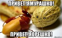 привет!ямурашко! привет!яорешко!