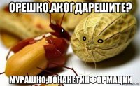 орешко,акогдарешите? мурашко,поканетинформации