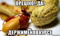 орешко!-да! держименявкурсе