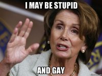 i may be stupid and gay
