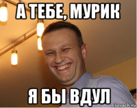 а тебе, мурик я бы вдул