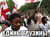  едины грузины