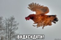  вкдхскдхтн!