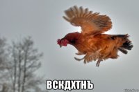  вскдхтнъ