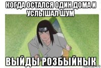 когда остался один дома и услышал шум выйды розбыйнык