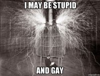 i may be stupid and gay