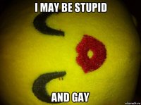 i may be stupid and gay
