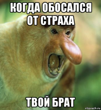 когда обосался от страха твой брат