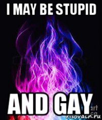 i may be stupid and gay