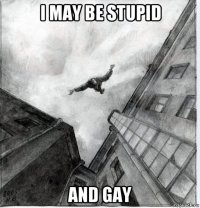 i may be stupid and gay