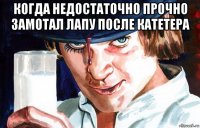 когда недостаточно прочно замотал лапу после катетера 
