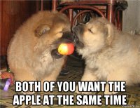  both of you want the apple at the same time