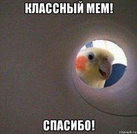 классный мем! спасибо!