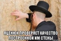  яценюк проверяет качество построенной им стены