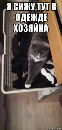 я сижу тут в одежде хозяйна 