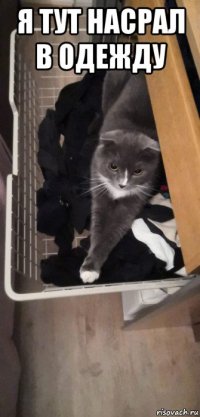 я тут насрал в одежду 