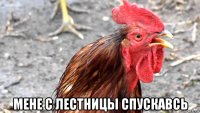  мене с лестницы спускавсь