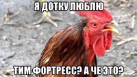 я дотку люблю тим фортресс? а че это?