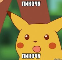 пикочу пикочу