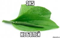 эк5 не болей